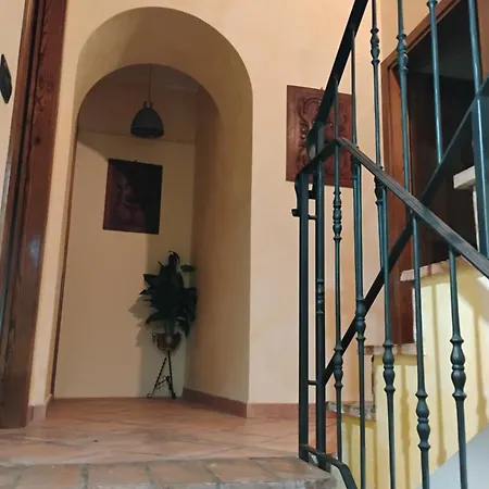 Il Gallo D' Oro - Scoiattolo *